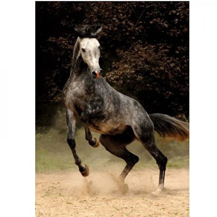 DToys Geflecktes Pferd