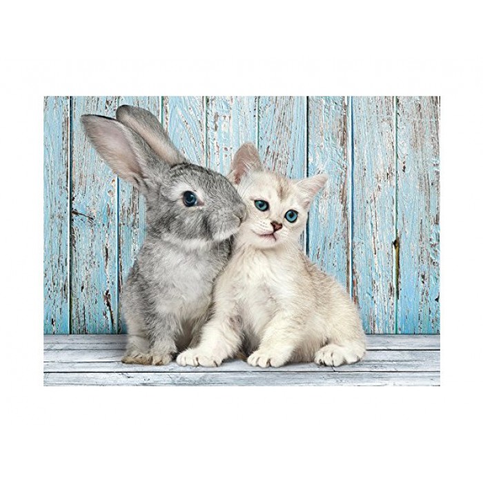 Clementoni Katze und Hase