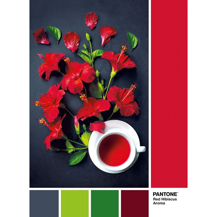 Clementoni Pantone - Goji Berry