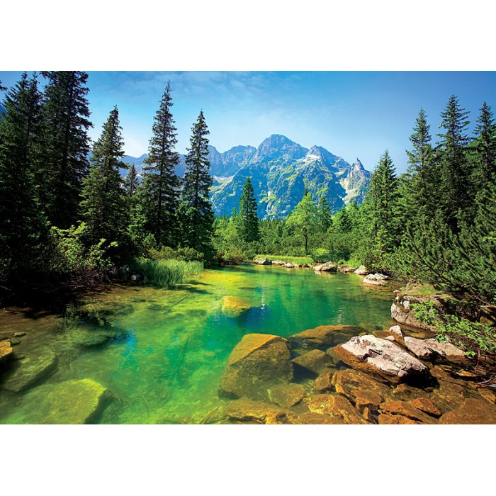 Trefl Fluss von Tatra, Polen