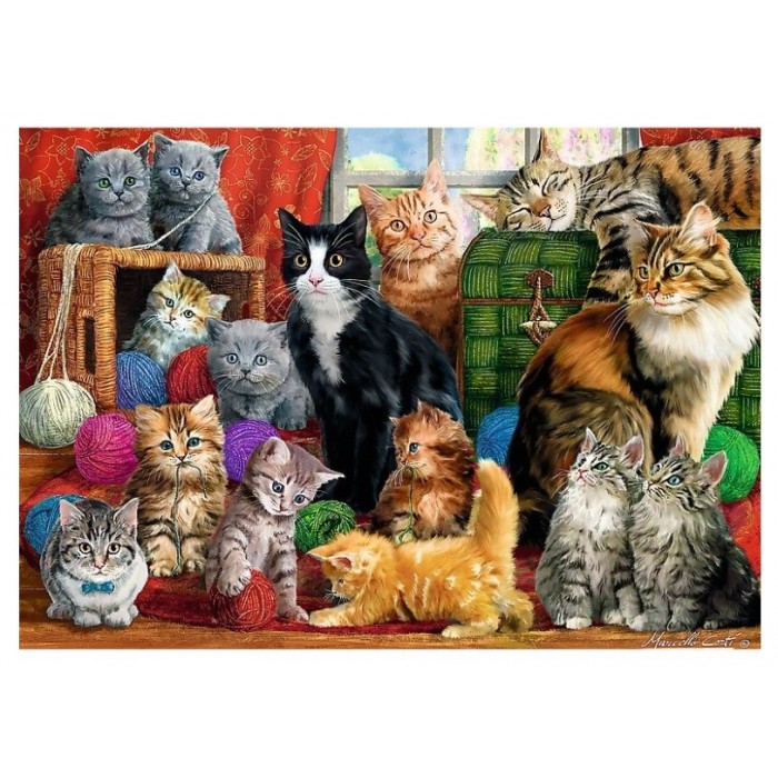 Trefl Cats Meeting