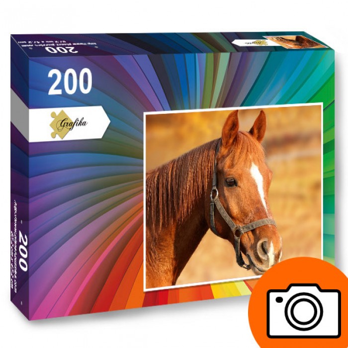 Planet`Puzzles - Puzzles Photo 200 Teile Fotopuzzle