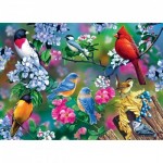 Puzzle  Master-Pieces-31977 Songbird Collage