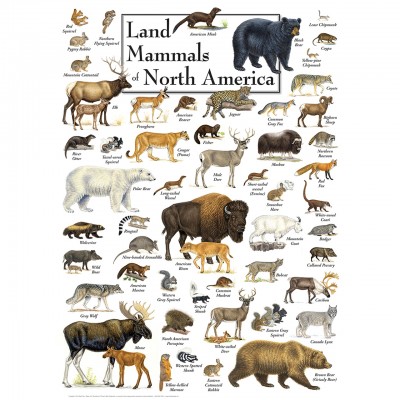 Puzzle Master-Pieces-71973 Land Mammals of North America
