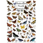 Puzzle   Butterflies of North America