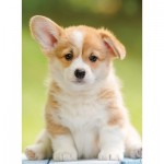 Puzzle  Nathan-00961 Niedlicher Corgi
