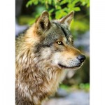 Puzzle  Nathan-01146 Europäischer Grauer Wolf