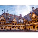 Puzzle  Nathan-01536 Wurzeln und Flügel - Hôtel-Dieu in Beaune