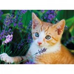 Puzzle  Nathan-86182 XXL Teile - Rotes Kätzchen im Lavendel