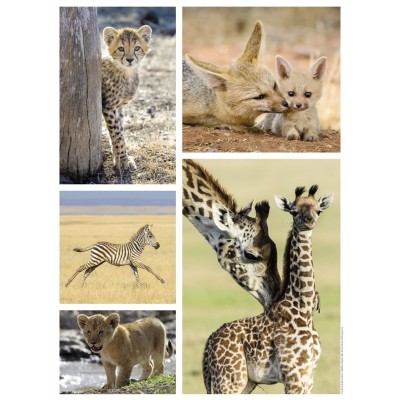 Puzzle Nathan-87150 Wilde Tiere Babys