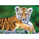 Puzzle   XXL Teile - Tigerbaby