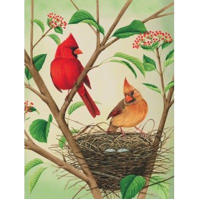 Puzzle New-York-Puzzle-CB1870 XXL Teile - Northern Cardinals