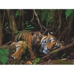 Puzzle   Mother Tiger and Cub