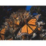 Puzzle   XXL Teile - Monarch Butterflies