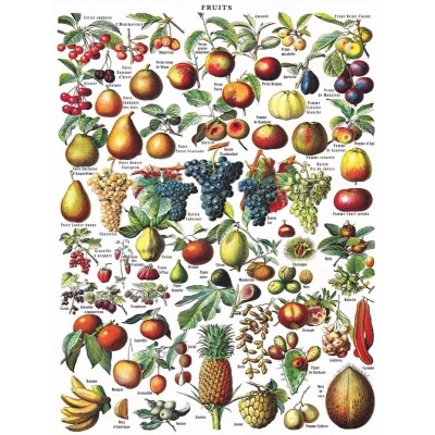 Puzzle New-York-Puzzle-PD1919 Fruits