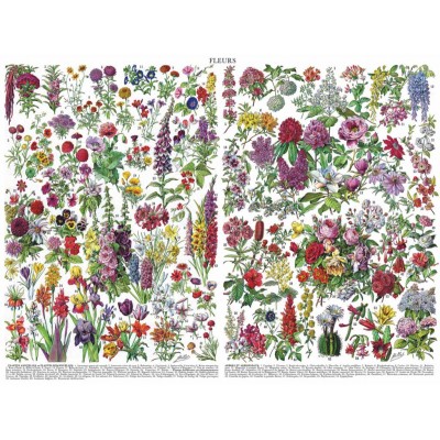 Puzzle New-York-Puzzle-PD1976 Flowers - Fleurs