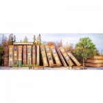 Puzzle  Nova-Puzzle-40008 Book Street