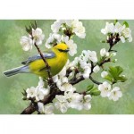 Puzzle  Nova-Puzzle-41026 Herold des Frühlings