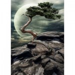 Puzzle  Nova-Puzzle-41040 Wunder der Natur