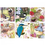 Puzzle   RSPB - Garden Birds