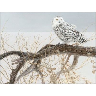 Puzzle Cobble-Hill-85031 XXL Teile - Fallen Willow Snowy Owl