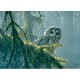 XXL Teile - Mossy Branches - Spotted Owl