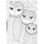Puzzle   Owls Family