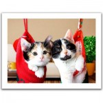   Puzzle aus Kunststoff - Christmas kittens