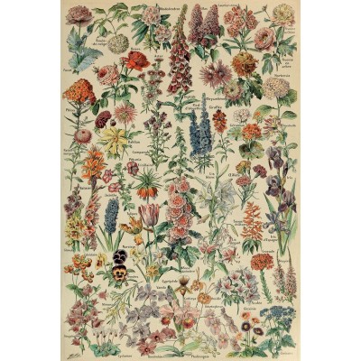 Puzzle-Michele-Wilson-A662-250 Handgeschnittenes Holzpuzzle - Adolphe Millot