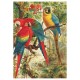 Puzzle aus handgefertigten Holzteilen - Brehm Papageien