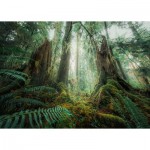 Puzzle  Ravensburger-00292 Nature Edition - Im Wald