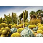 Puzzle  Ravensburger-00850 Der Huntington Desert Garden, Kalifornien, USA