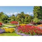 Puzzle  Ravensburger-00852 Park der Villa Pallavicino, Stresa, Italien