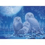 Puzzle  Ravensburger-16595 Star Line - Owls in the Moonlight