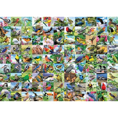 Puzzle Ravensburger-16937 XXL Teile - 99 Birds