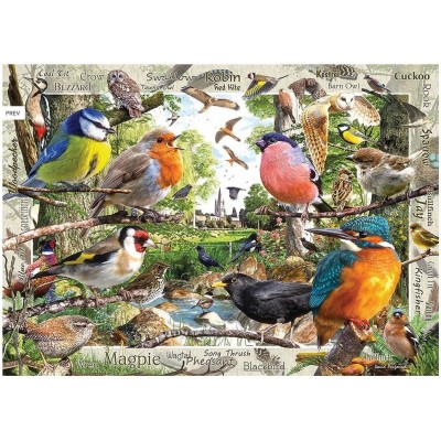 Puzzle Ravensburger-19838 Our Feathered Friends