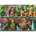 Puzzle   Katzen im Regal