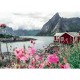 Lofoten - Norway