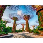 Puzzle   Singapore Bay Garden