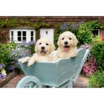   Wellness & Puzzle - Golden Retriever
