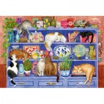   Wellness & Puzzle - Katzen im Regal