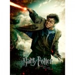 Puzzle   XXL Teile - Harry Potter