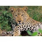 Puzzle   XXL Teile - Vio der Leopard