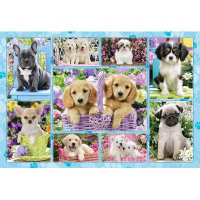 Puzzle Schmidt-Spiele-56162 Welpen