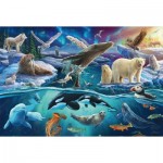 Puzzle  Schmidt-Spiele-56484 Tiere in der Arktis
