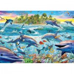 Puzzle   Riff der Delfine