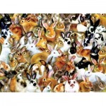 Puzzle  Sunsout-35211 Lori Schory - A Bundle of Bunnies