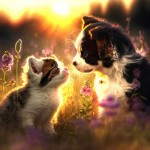 Puzzle  Sunsout-61870 Katze und Hund