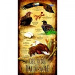 Puzzle  Sunsout-66406 XXL Teile - Life Cycle of the Bald Eagle
