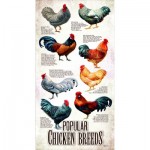 Puzzle  Sunsout-66409 XXL Teile - Popular Chicken Breeds